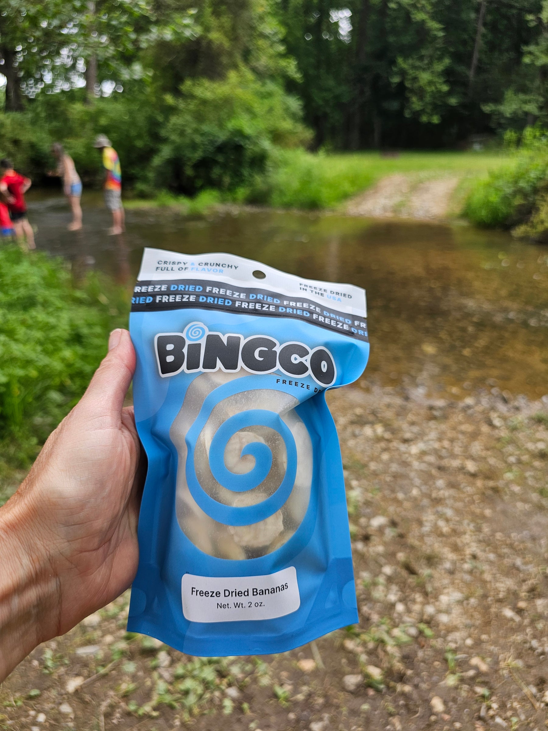 Freeze Dried Banana Slices – Bingco