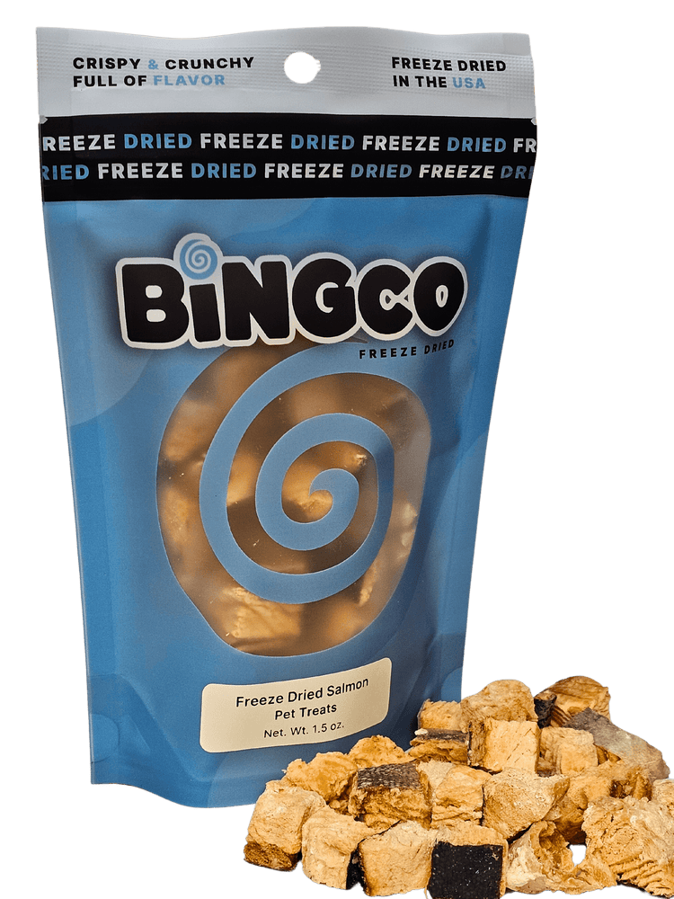 Freeze Dried Salmon - Bingco