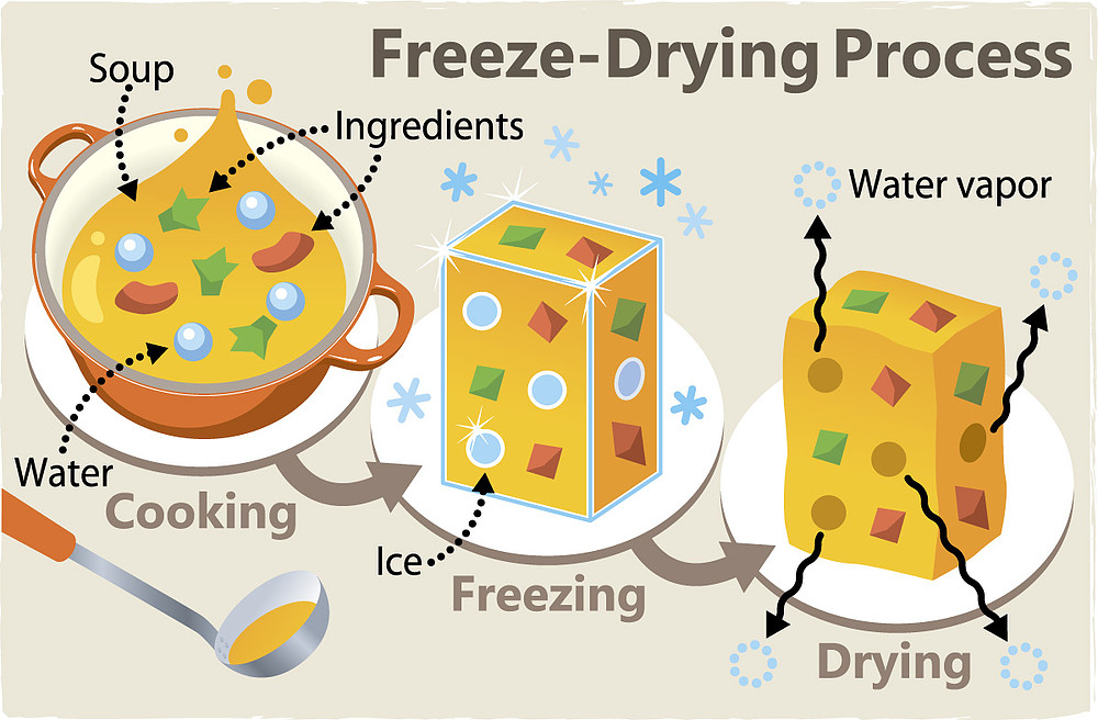 How to freeze dry food by lyophilizer? Freeze drying process